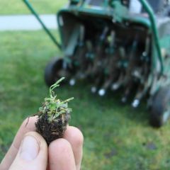 Photo for blog post: Improve Your Lawn with Core Aeration