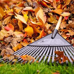 Photo for blog post: Mulching Leaf and Grass Clippings Versus Raking and Removing Them